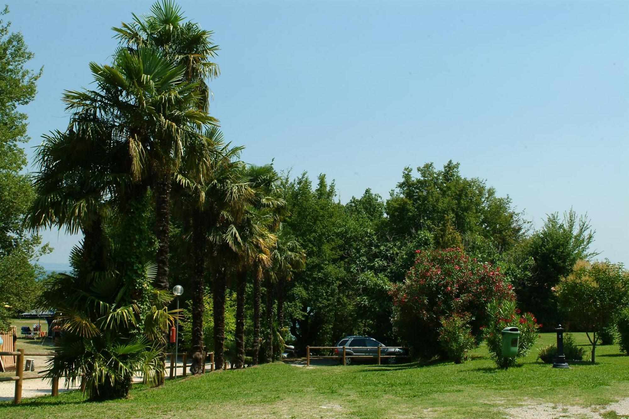 Camping Zocco Manerba del Garda Exteriér fotografie